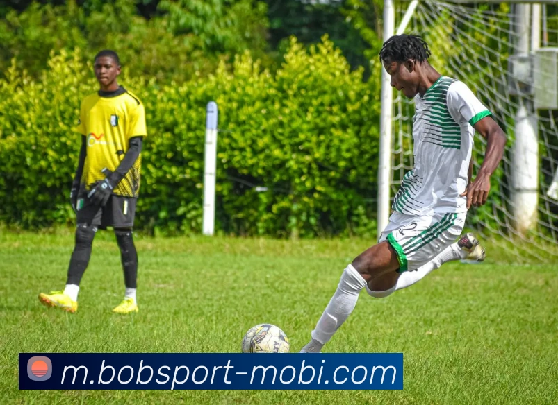 BOB体育平台生态图