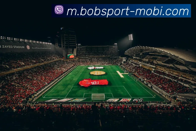 BOB体育APP 封面图